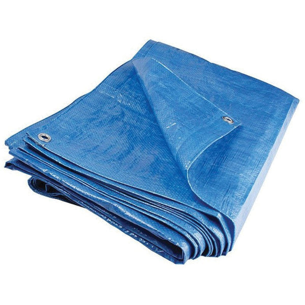Pachet 1+1 prelata cu inele 80 g/mp, 4x6 m, albastru