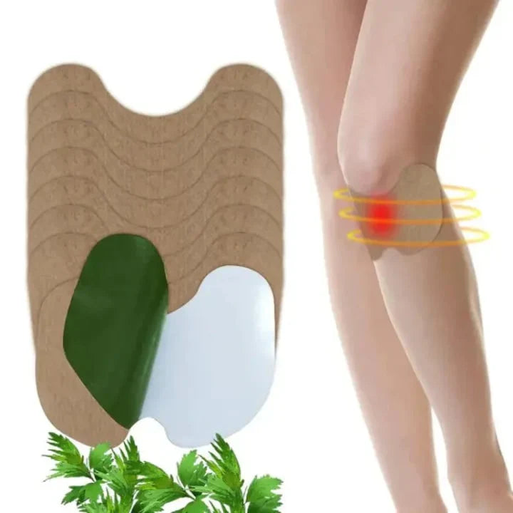 Plasture cu pelin - compozitie naturala